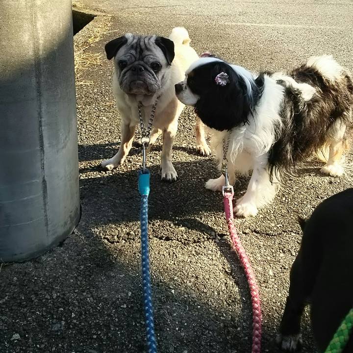 339d7953 9f3f 4e6f 97d7 a15f57d4c1c1