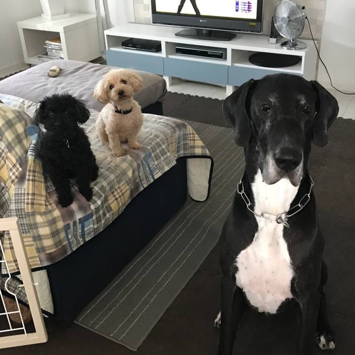 339e1cc3 d077 4b2e 9178 61da4e5e67a3