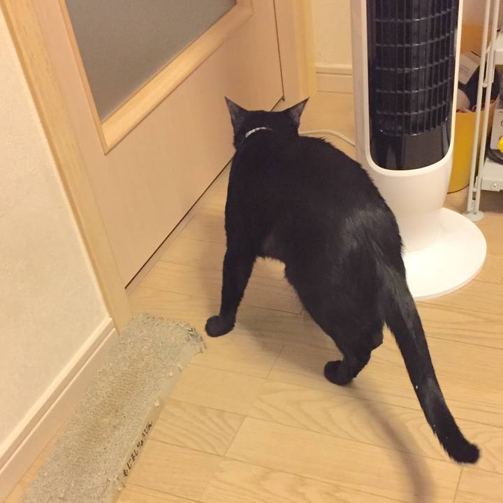 339e49e3 46df 4a98 84c5 21fae12b7a4f