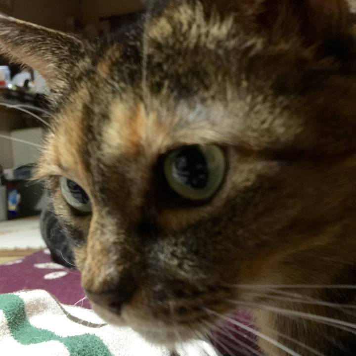 339e618a 00ab 4d32 8692 b8e12b0da698