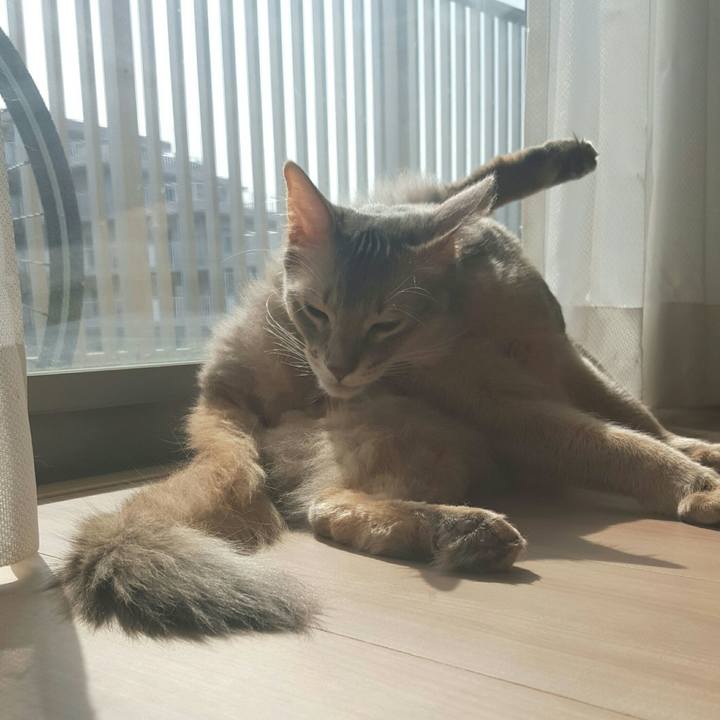 339eb1b7 e782 4d38 a898 e3b1485214bd