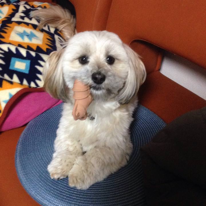 339ee182 c6e8 415b abca 3261628cd804