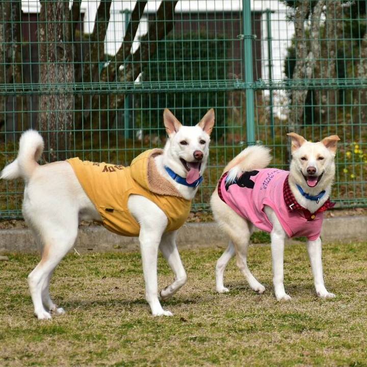 339f5d82 047f 407e bc80 6a2423b48f9e