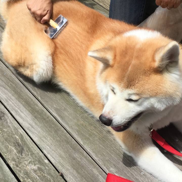 339f5e89 bb53 4f69 ab73 ff4b3f8f6fed