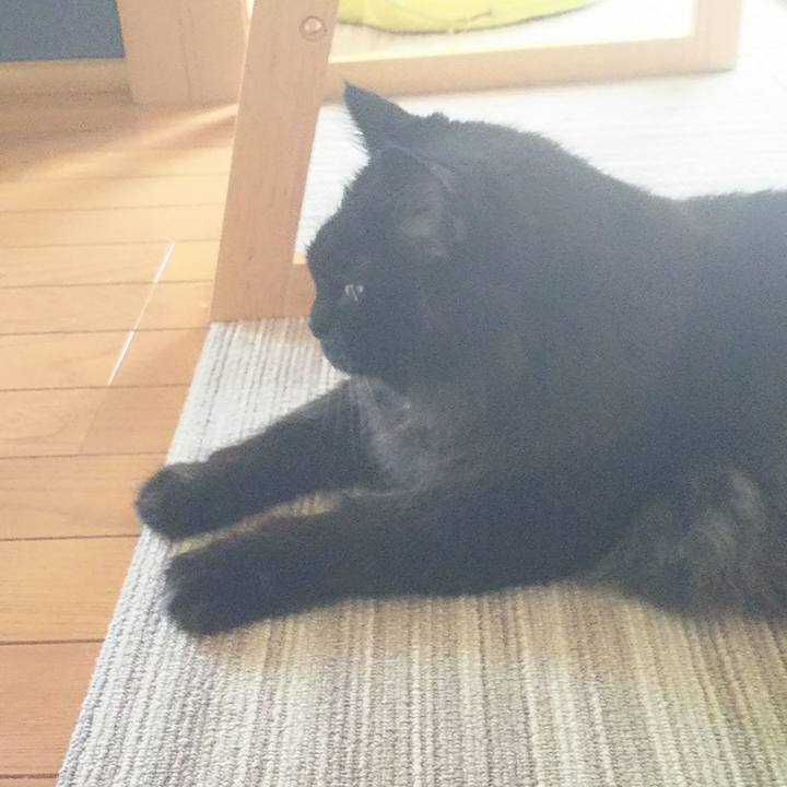 339fae9a 7ba4 423a b0ad dac8098eb66c