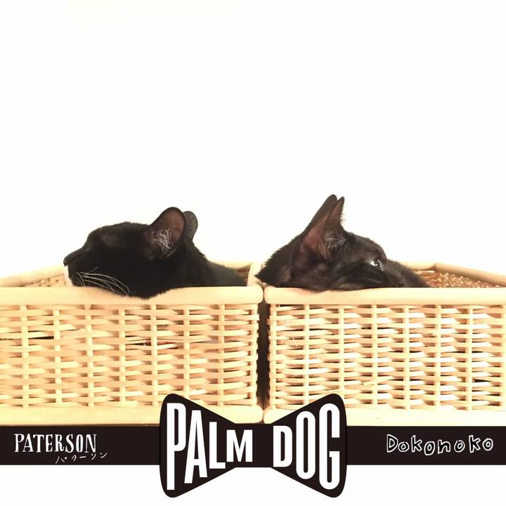 33a08701 94be 4fd3 997d 38f0f104fcd1