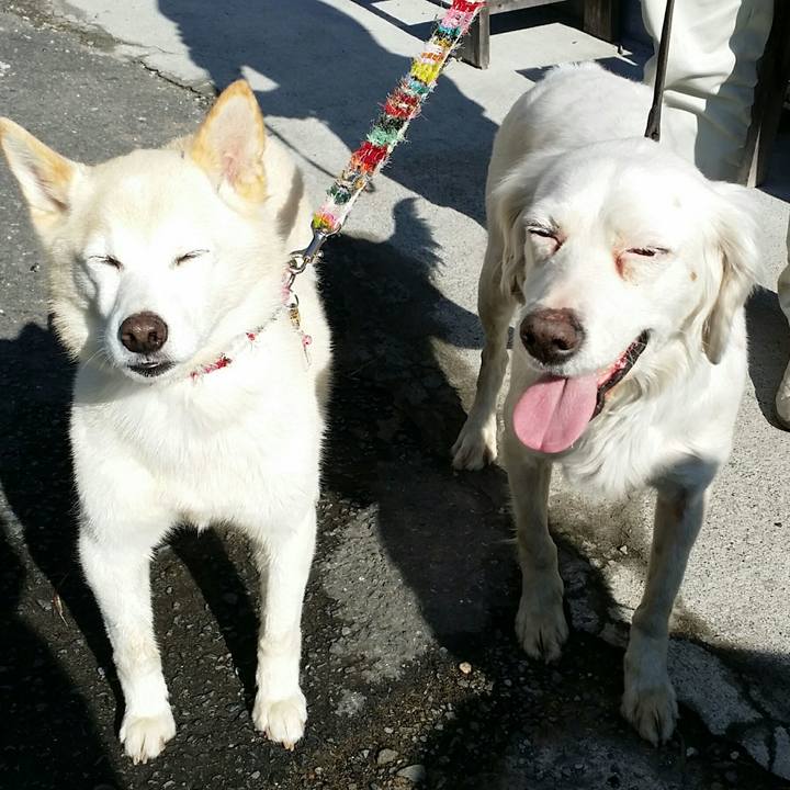 33a0d5dc 3cbd 41e1 b833 aa9c6c31eb24