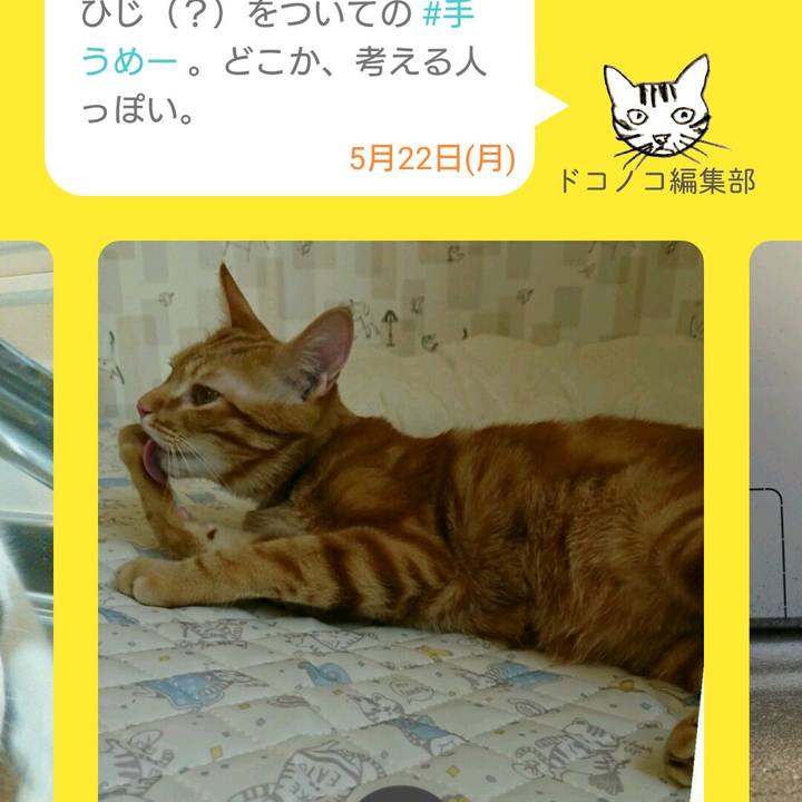 33a0e192 65e2 470b 9c0f 9c90e308d43b