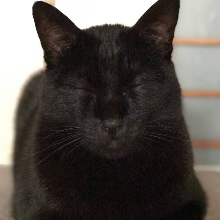 33a1b8a2 9bdc 47e7 bcc1 d3431ec1833e