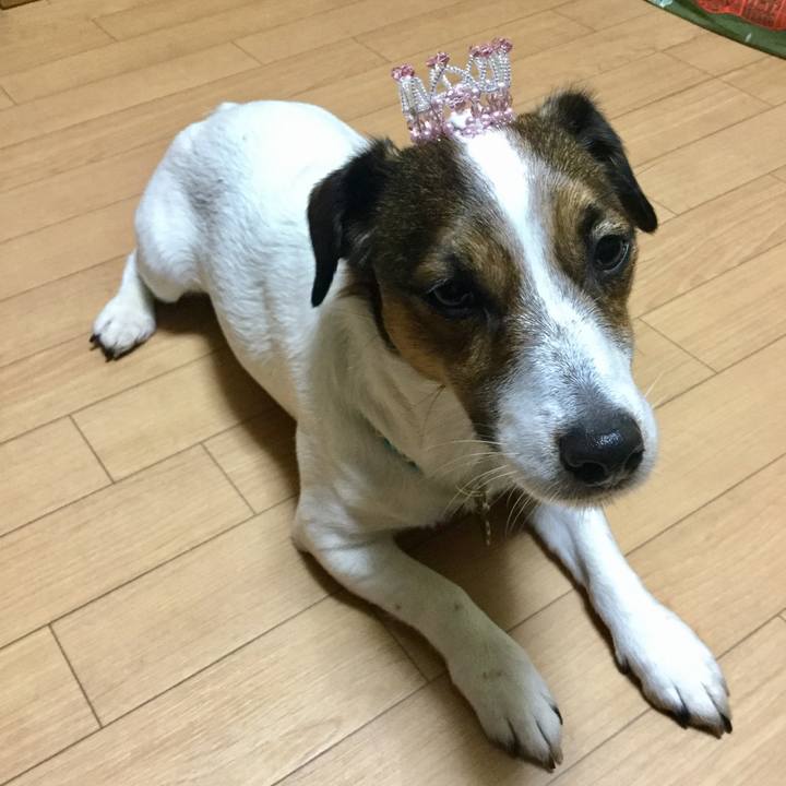 33a2583c a850 4de7 8505 c15e6603f958