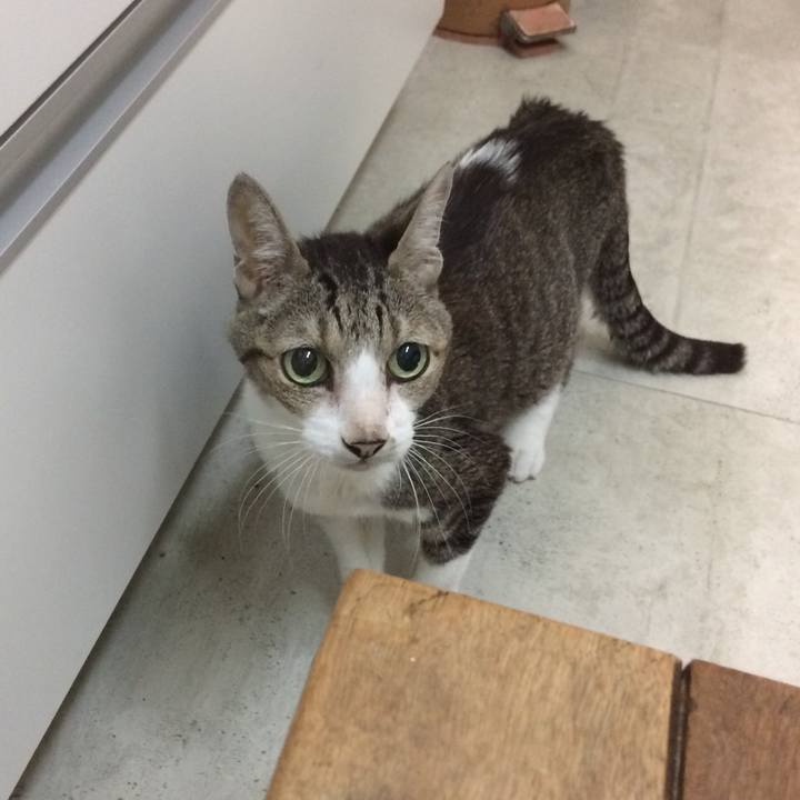 33a3cd8c 09c6 4318 a058 1aa67e754926