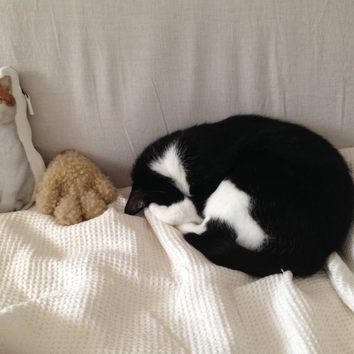 33a40163 db6e 4266 8a71 738e5c0a2e07