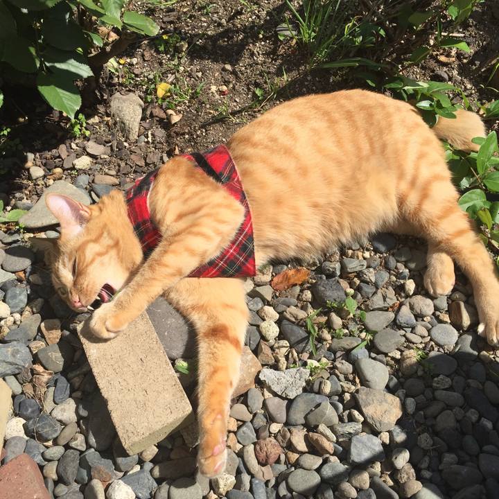 33a4592c 437a 4be7 a5b1 52ac6cb13781