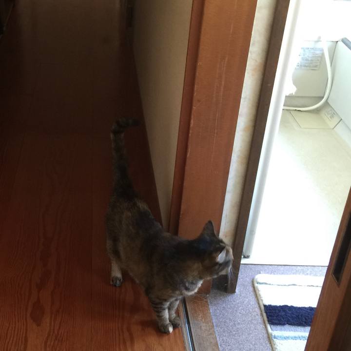 33a4734f ccd2 458e 99db da20f3ebabc6