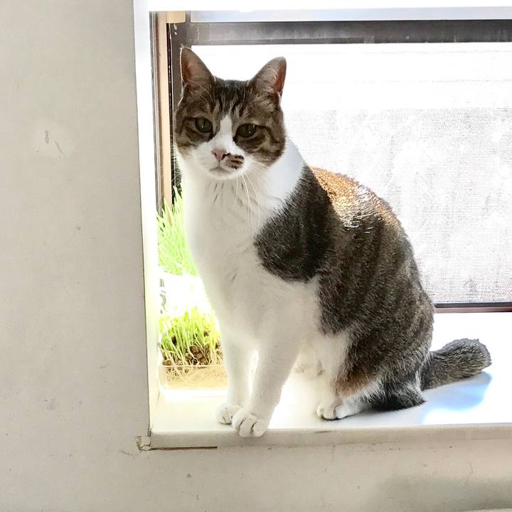 33a53528 8d03 4ecf 9dba d12e9c769da6