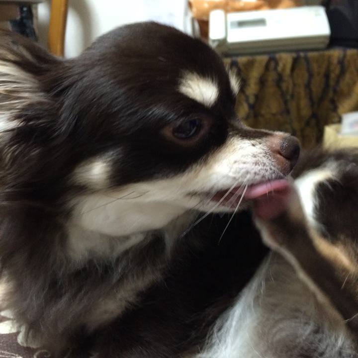 33a5dbeb 245a 4c42 b80e 2ddbbc759eae