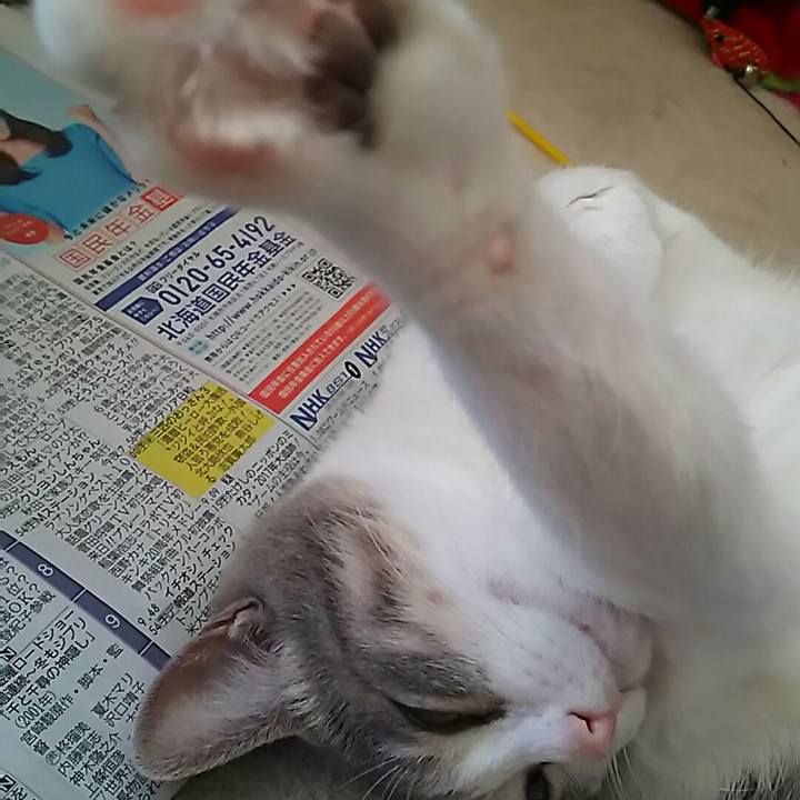 33a5ed5e c1d5 40db 8f81 216ccbd8ddef