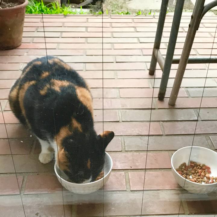 33a62cfe 4483 4595 81c3 399dfba7b855