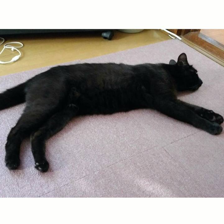 33a6308a abb5 4066 9382 366828812c62