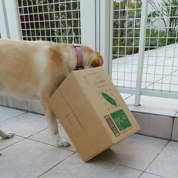 33a67cfe 20b0 403c b6c7 4bc5856b57de