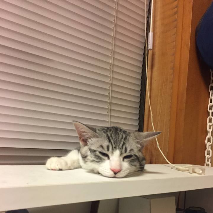 33a7be13 dcf6 43f1 9831 f4735a5b1dd5