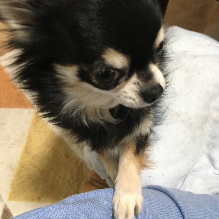 33a7cceb b9e5 4b48 a230 5722b1c4baae