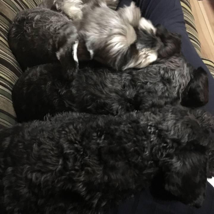 33a7de68 b117 4c92 b1a1 2aa1cf5d6a43