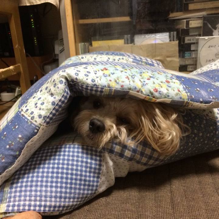 33a7fe61 2cd5 46ee 8de1 f489baf14626