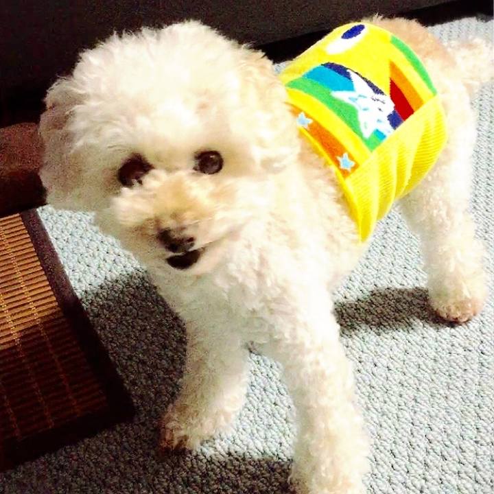 33a8f423 9f05 444f b431 54f91c3524fc