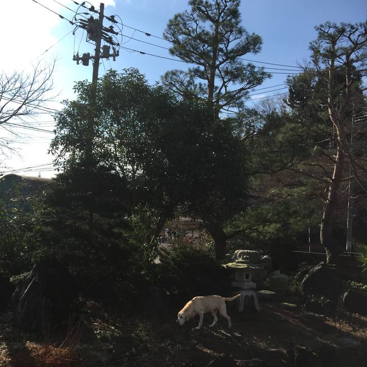 33a8f8e2 e4c4 4501 a252 9033e2476ea5