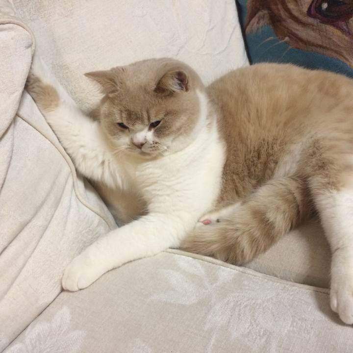 33a95aeb 3a01 4242 960e 1c810a8055bb