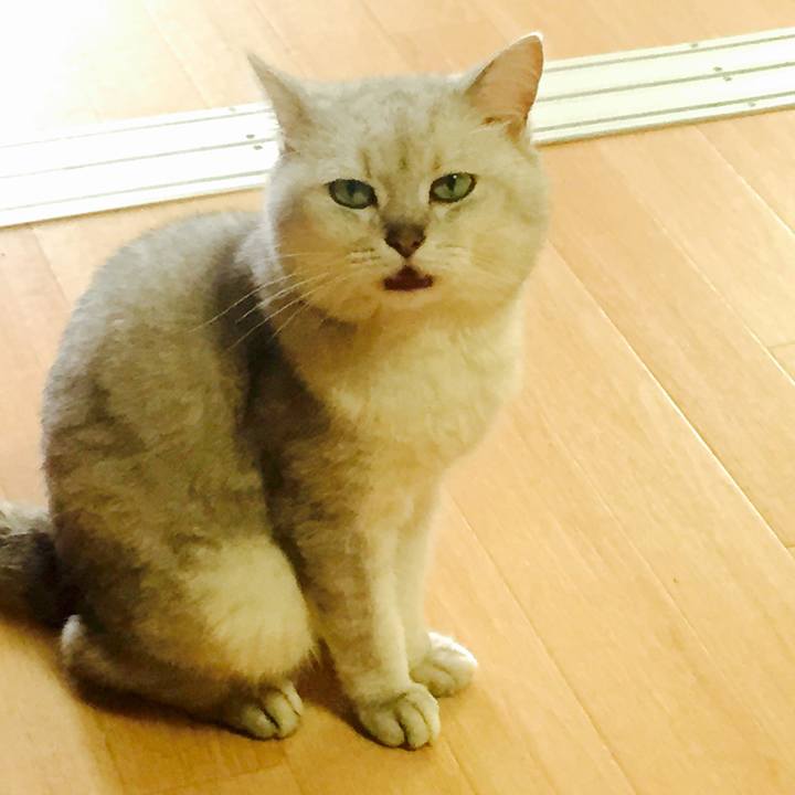 33a95dcb 2772 4eb9 beab a363c2dc1312