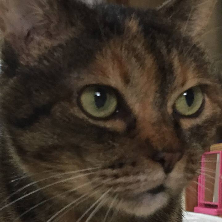 33a9cbd0 8543 4777 afe4 82d94af6d290