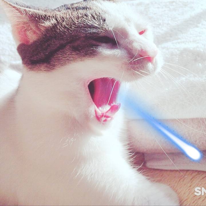 33aa61bd 48c5 4ad7 87a8 51bde42048d9