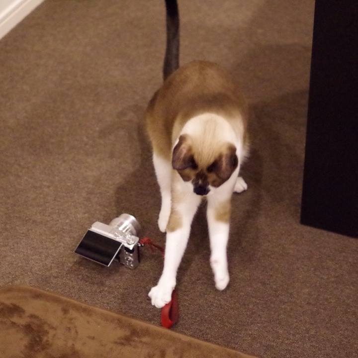 33aa9ab3 d48d 4f1f 957f e880486f9475