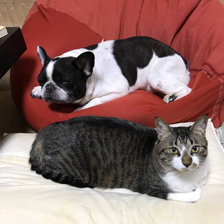 33aaa1bc 93fe 43df 9a17 49e2cc8a481c