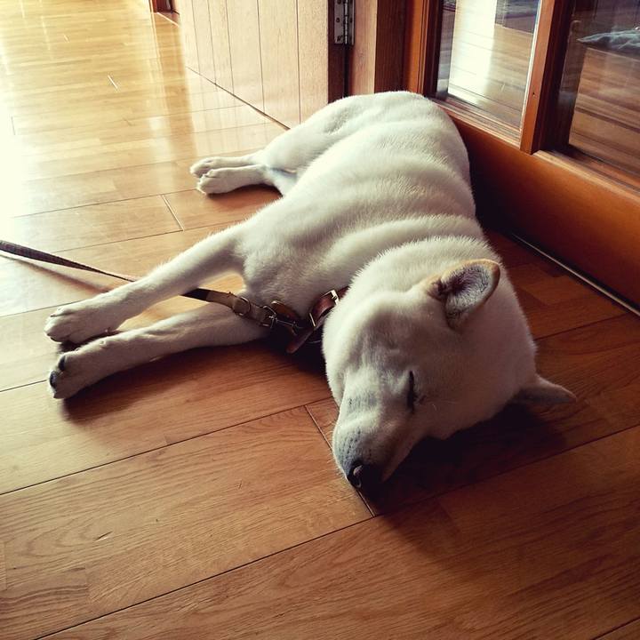 33aadf25 70c5 40d7 af81 3590dbe25200