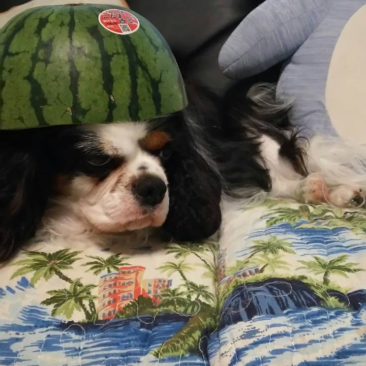 33ac53bf 25e6 47e0 91a2 b44d239b9096