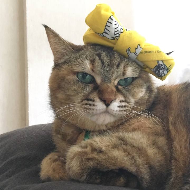 33ac6dea d76a 4447 9d36 166cecd08060