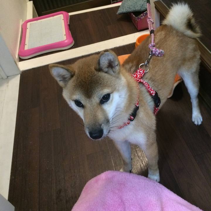 33acb96d 5313 465e bedd 8927e2814789