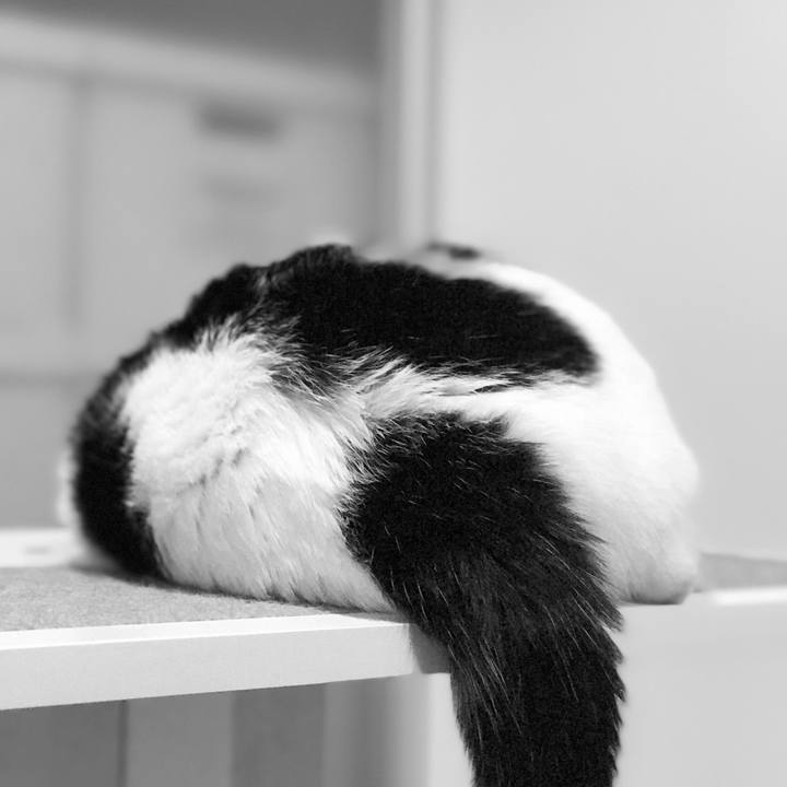 33ad0ab1 9337 41d2 b168 14752c5331af