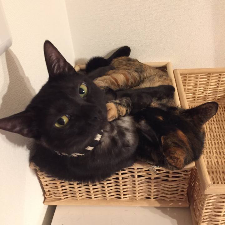 33ad61ca 776e 4ea4 b530 f1928cd80d5d