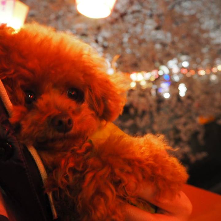 33adb582 62a9 47ec af02 6aba73e123f4