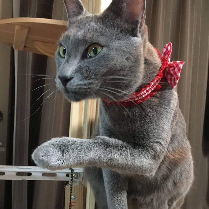 33adfc44 3d0b 43be 9310 bad4edb87d24