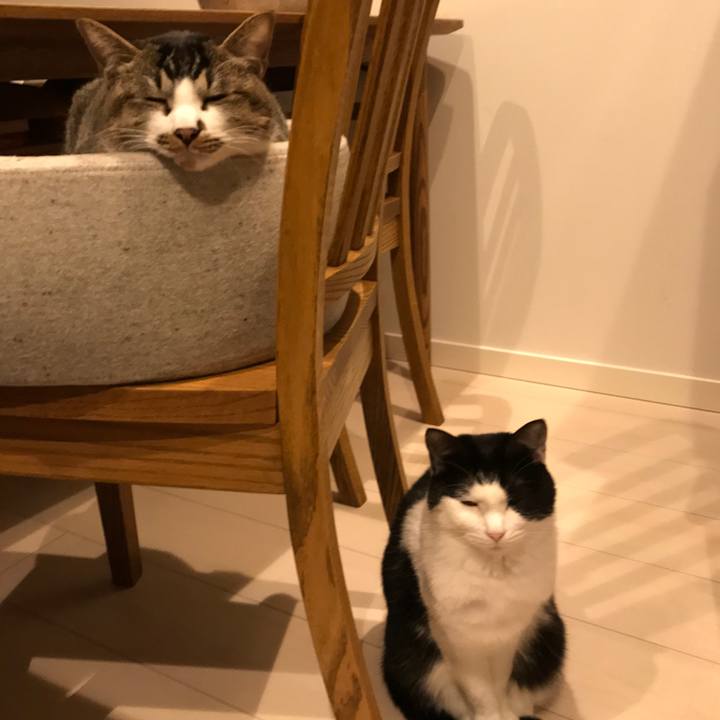 33ae27c3 f766 405f a2e7 08523dc7de84