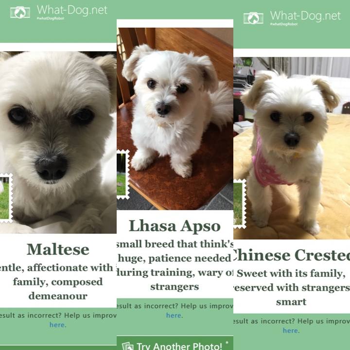 33ae6065 5a30 442d afff 4af918455664