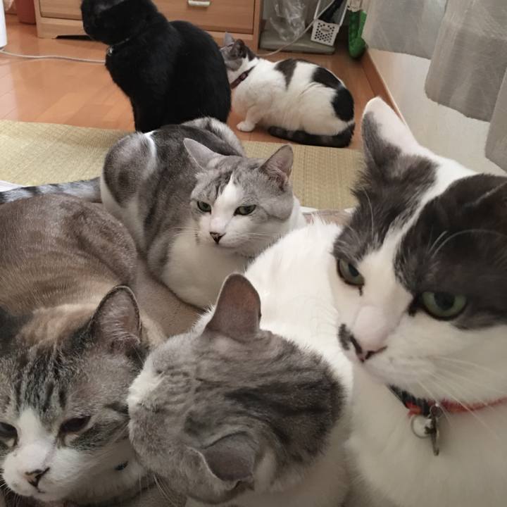 33aea130 472b 4cca aa48 487f5f0b75b4