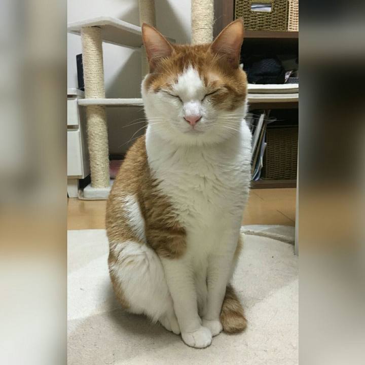 33aec13b 84ec 46bf 9427 d22288908da2