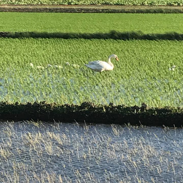 33aede12 5e6a 4a47 ac3d db4b70667559