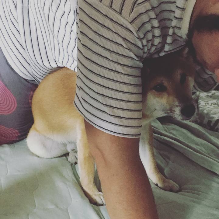 33af9aee 7e38 46df 8de5 f9610cfee4d5